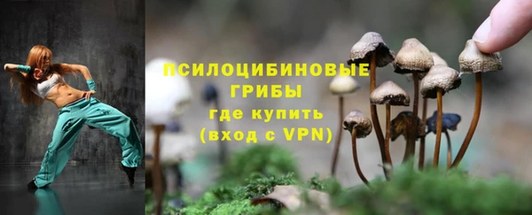 спиды Приозерск