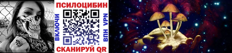 купить сайты Сергач Псилоцибиновые грибы Cubensis